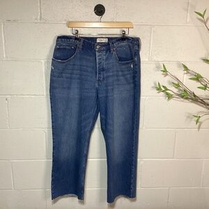 Abercrombie & Fitch The ‘90s Baggy Lowrise | Button Fly | 14s